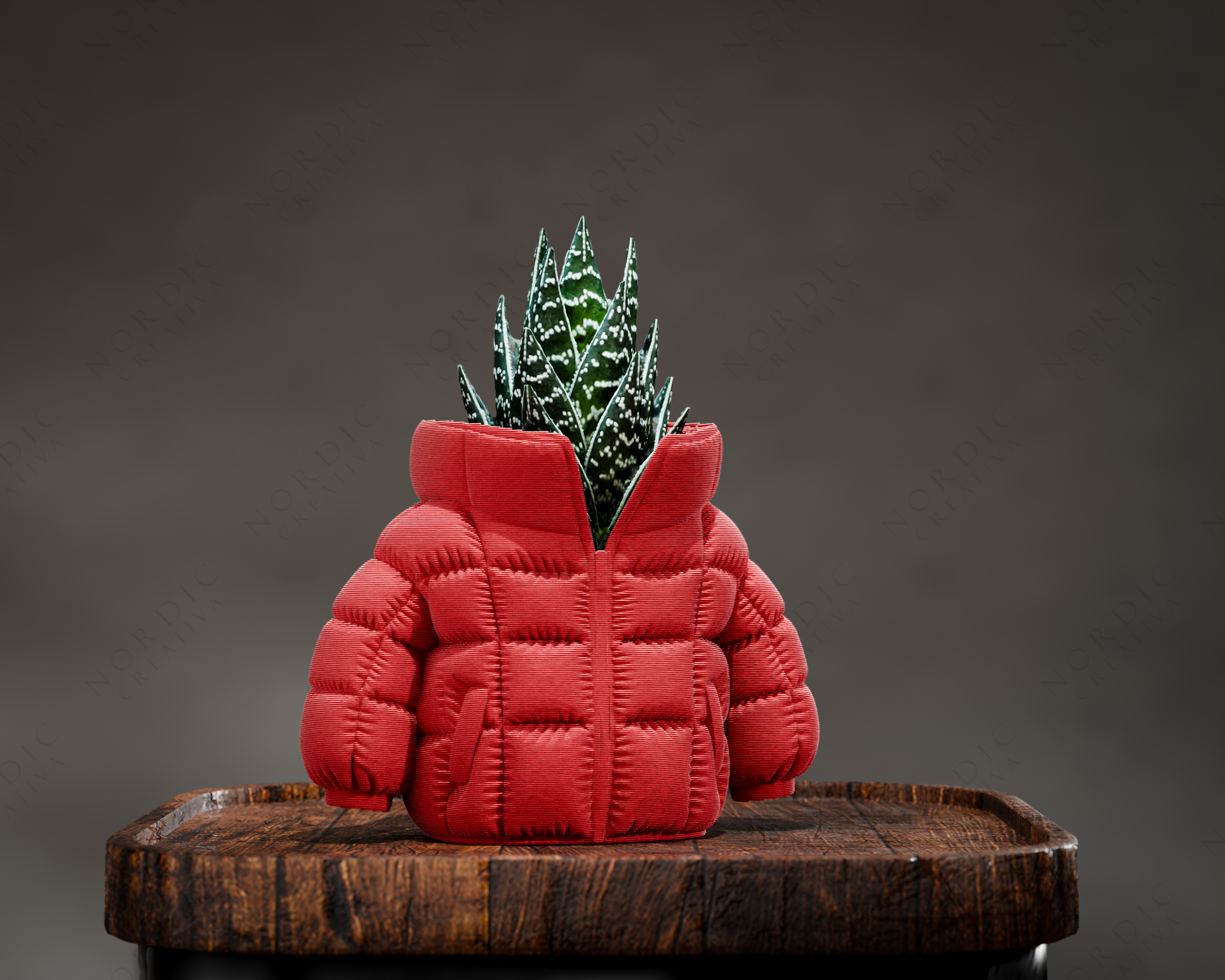 artistic statue STL-digital art figurines_Succulent in Jacket