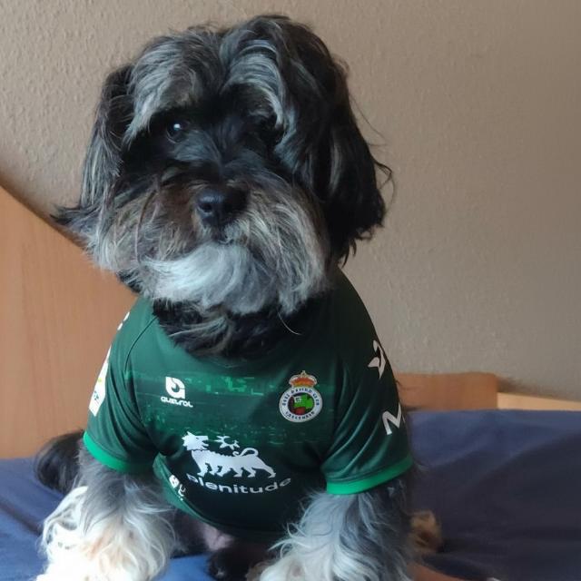 garden toy STL-flying toy 3D model_User's Model mhh2on47bajun89y79a