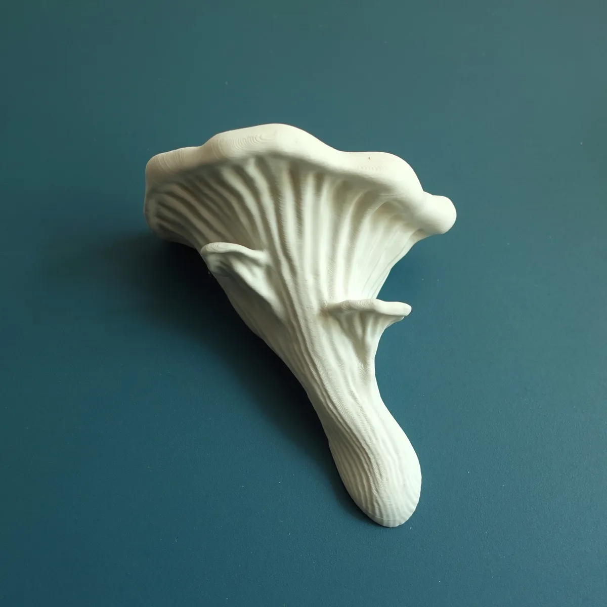 3D printed wall decor-hanging 3D art designs_Mushroom shelf “Oyster”