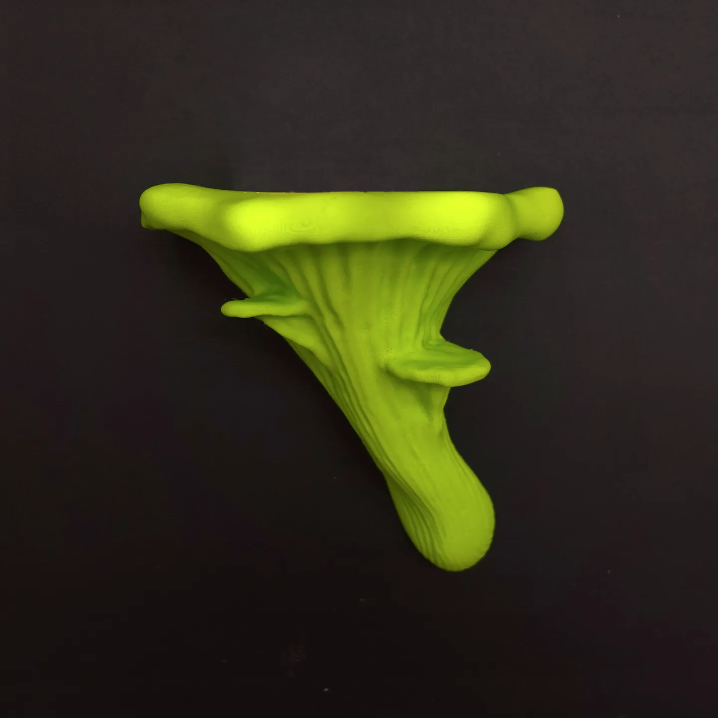 3D printed wall decor-hanging 3D art designs_Mushroom shelf “Oyster”