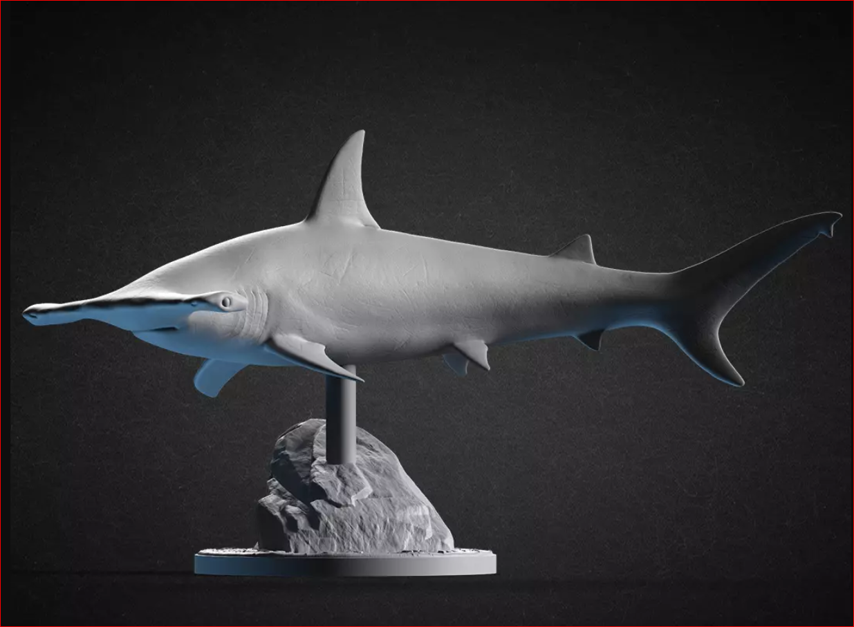 modular toy parts-interlocking 3D models_Shark