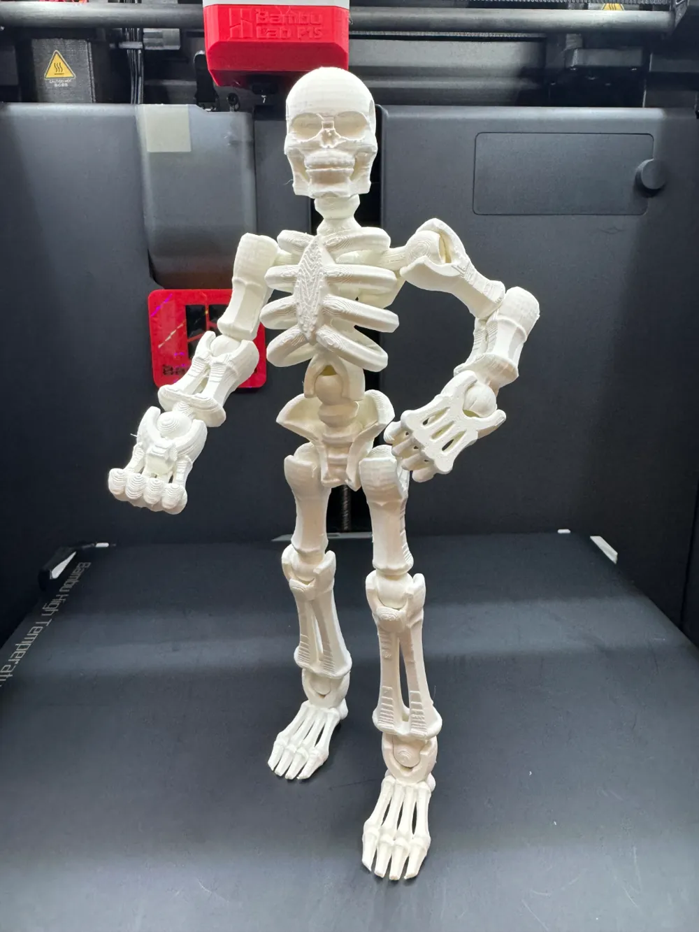 superhero STL files-collectible 3D figurines_Skeleton Kit Card-Tinkercad