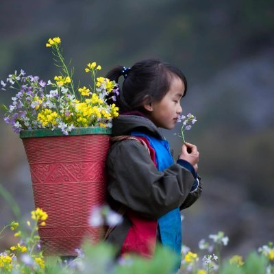 3D printed wall decor-hanging 3D art designs_Thanh100192