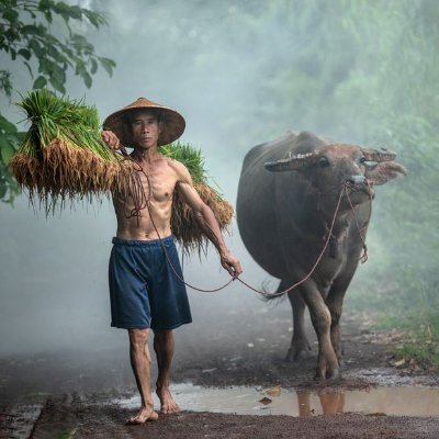 artistic statue STL-digital art figurines_TBcrypto8