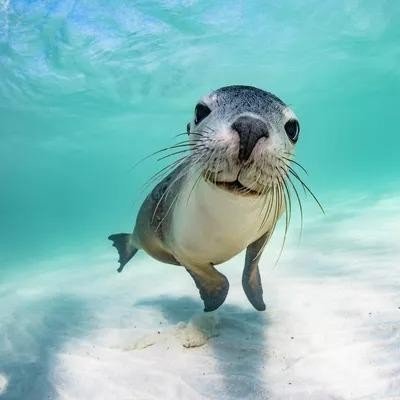 3D printed wall decor-hanging 3D art designs_lethixoai