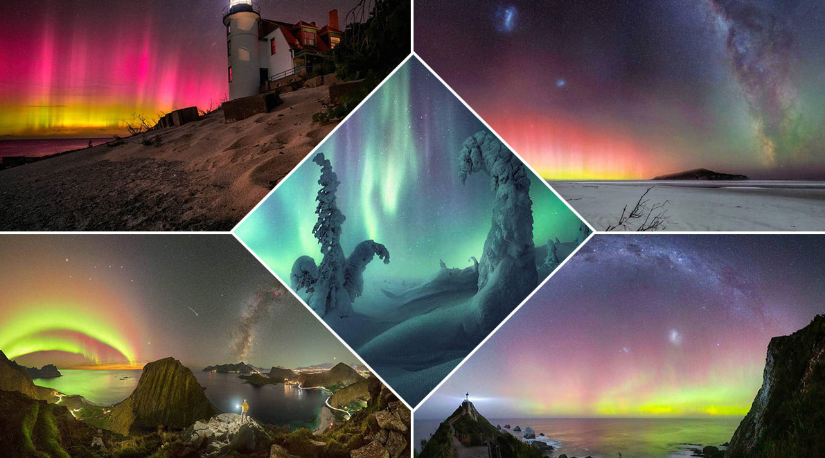 3D printed wall decor-hanging 3D art designs_daitran81445587