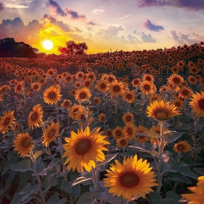 brain teaser 3D models-mechanical puzzle STL_lulutran12