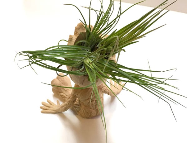 wearable gadgets STL-fantasy costume parts_Baby Groot Air Plant Planter