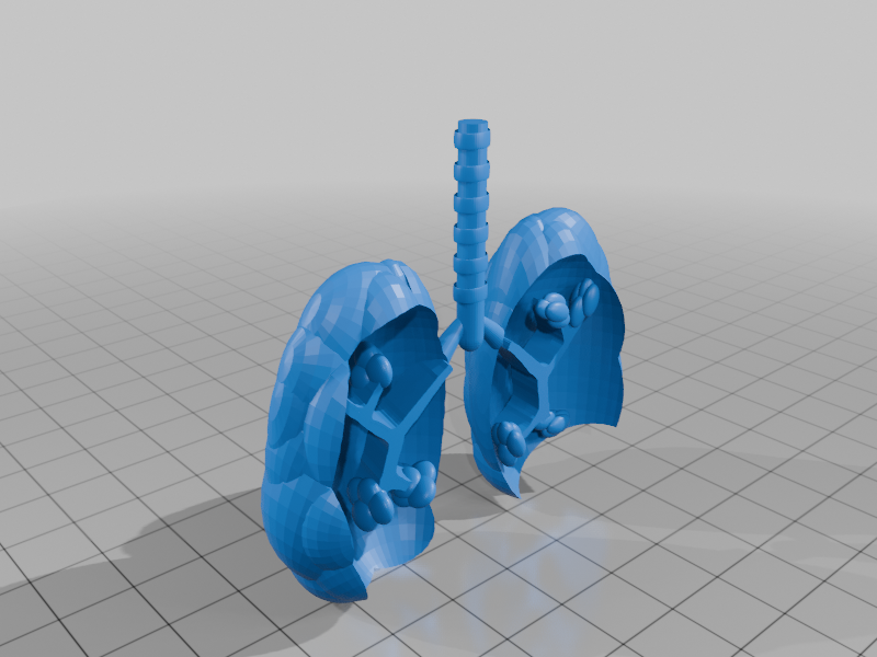 artistic statue STL-digital art figurines_Lungs