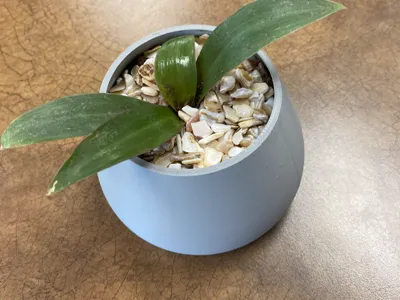 tabletop game accessories-custom dice STL_Basic Pot