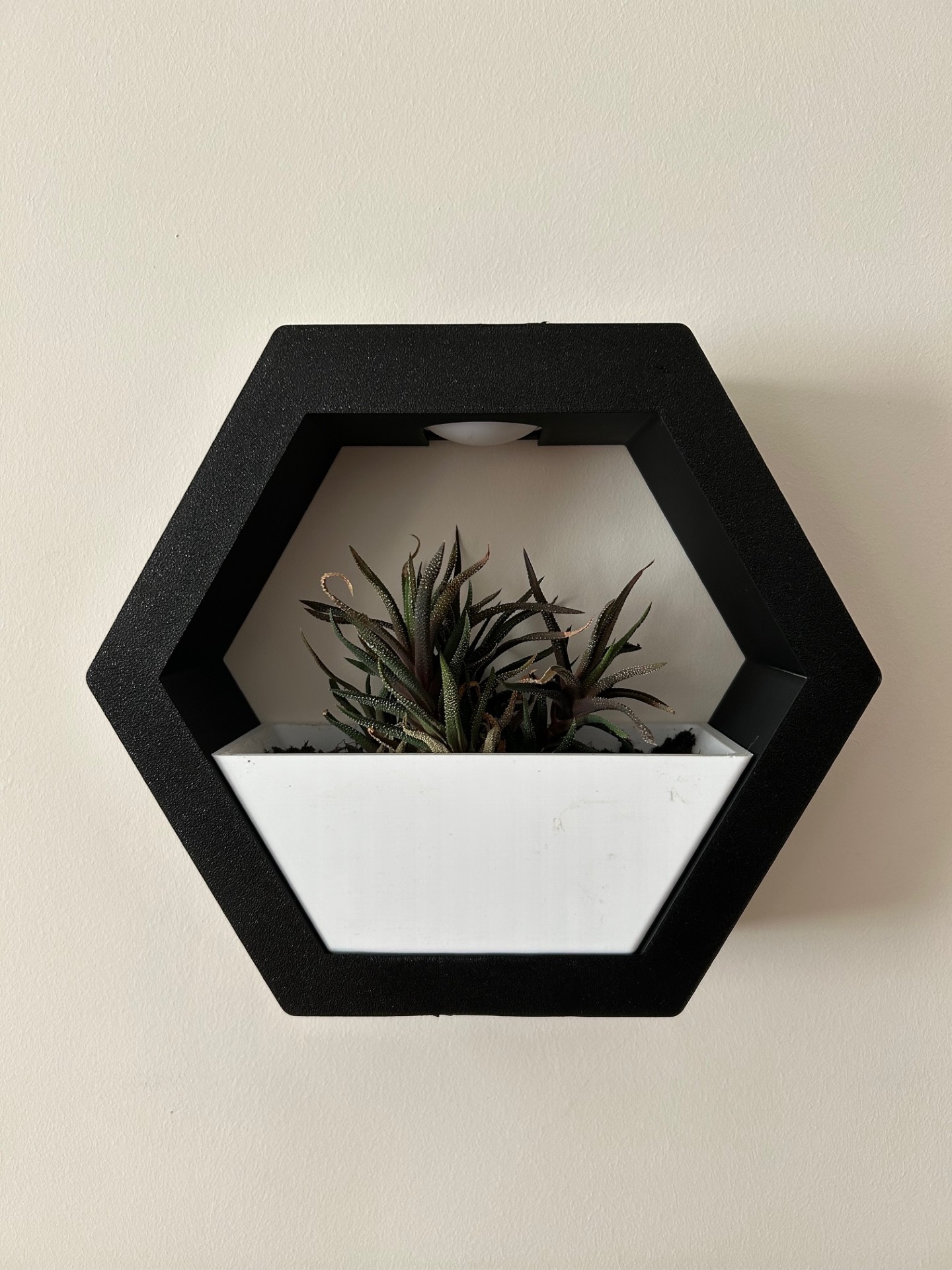 3D printed wall decor-hanging 3D art designs_Hexadone wall hanger