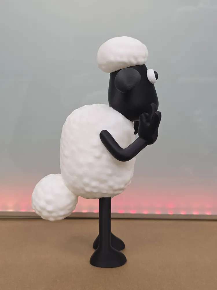 garden toy STL-flying toy 3D model_Ship