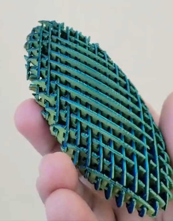 brain teaser 3D models-mechanical puzzle STL_Fidget oval Worm